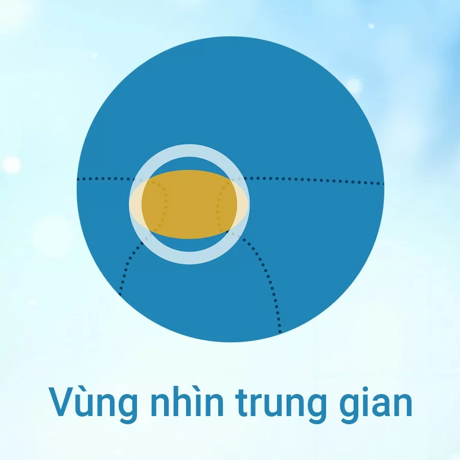 kinh-da-trong-chinh-hang
