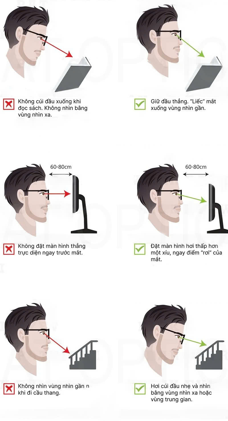 Cách sử dụng kính đa tròng